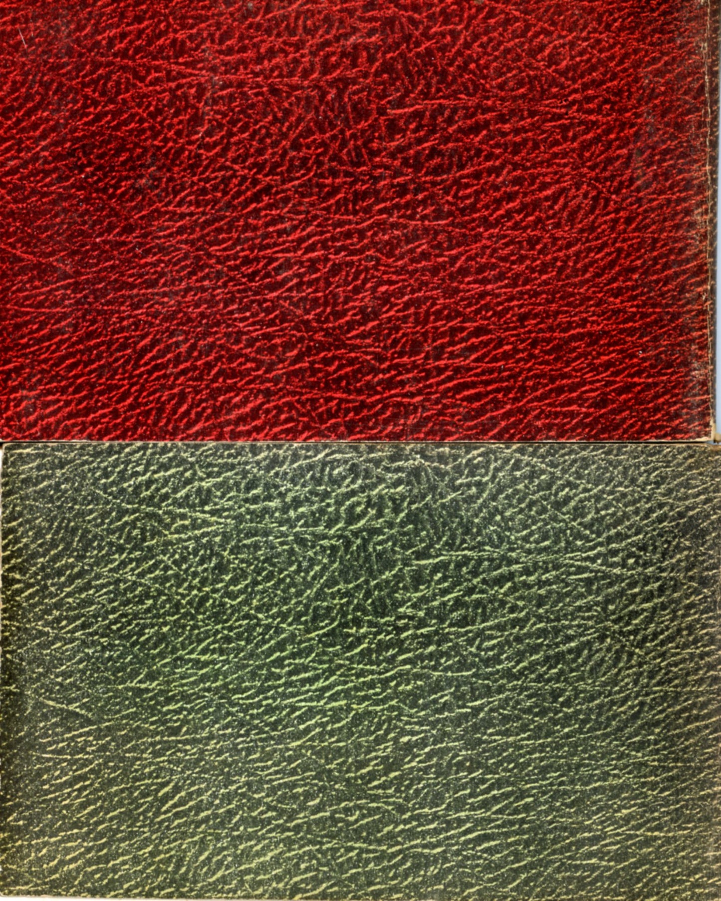 The RED BOOK of Birds of America and The GREEN BOOK of Birds of America (Set of 2) ©1931 BACK COVERS