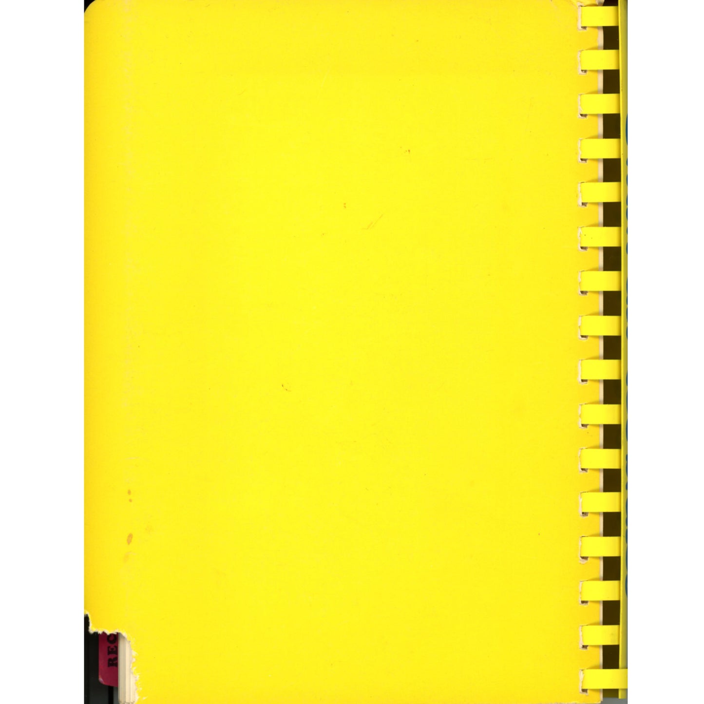 Junior League of Cincinnati’s 1980 “Cincinnati Celebrates” cookbook with menus, party ideas, and multicultural recipes. Back Cover
