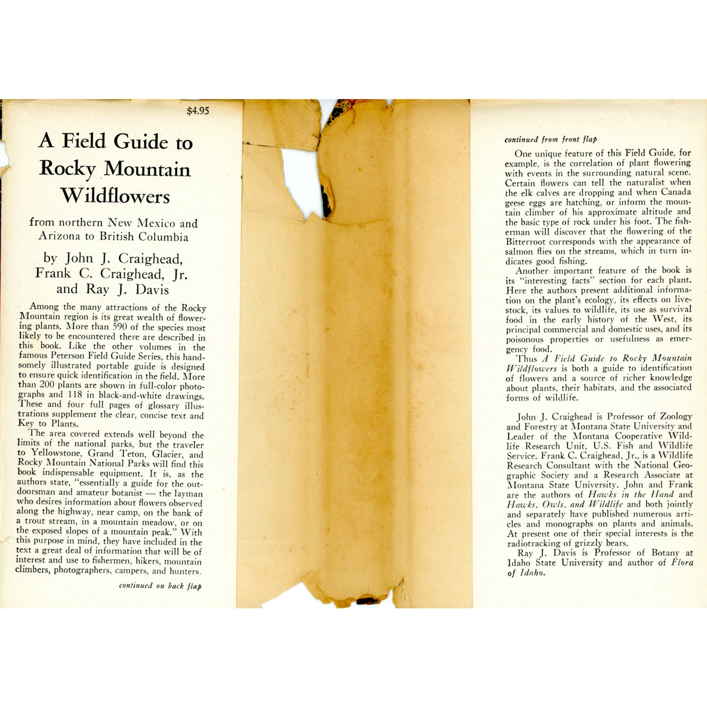 1963 Peterson Field Guide Rocky Mountain Wildflowers Craighead Davis 1st printing (Dust Jacket Flaps)