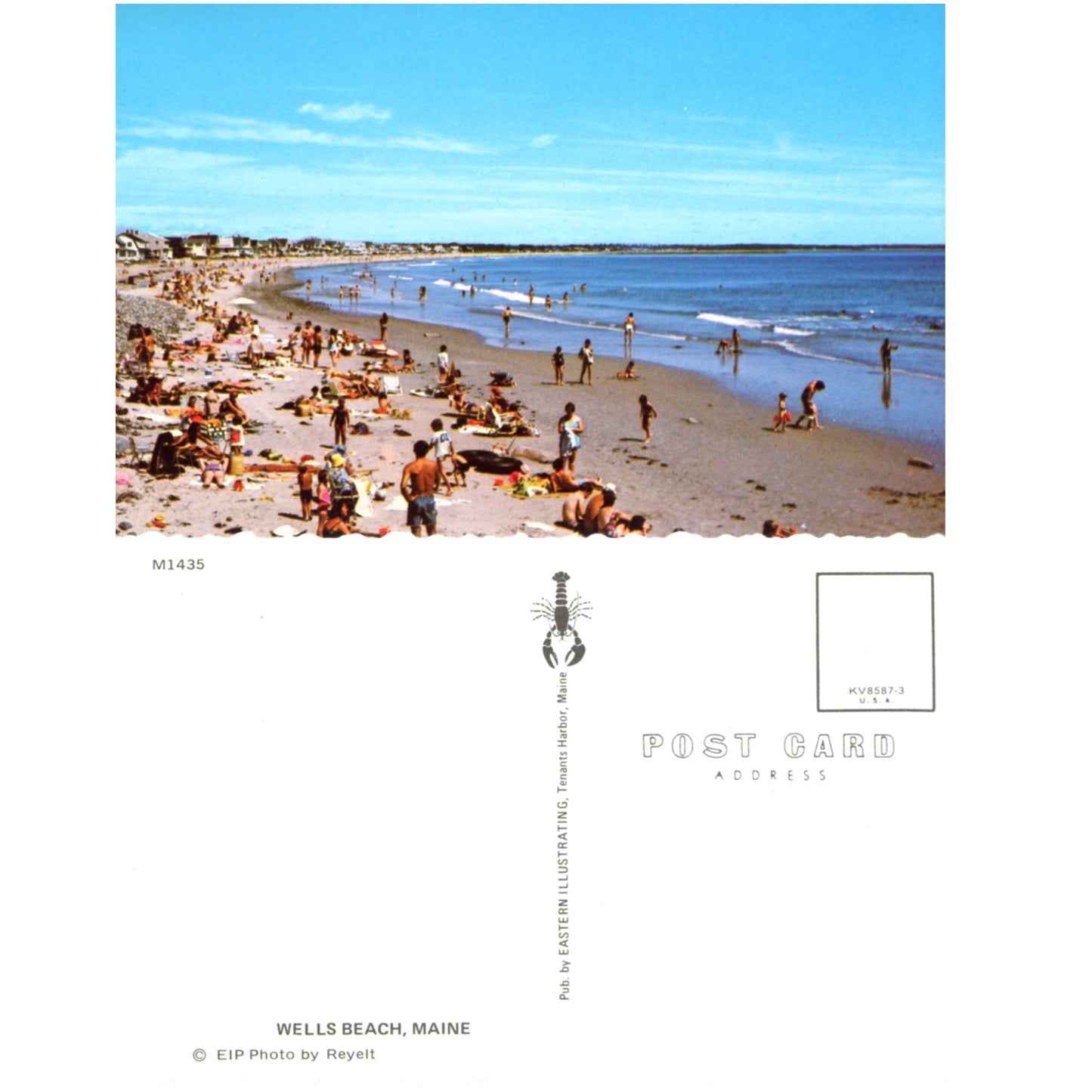 Wells Beach Maine sunbathers, shoreline homes (EIP) chrome postcard Front and Back
