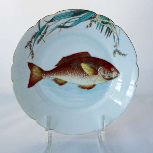 Hinrichs & Company Transferware & Hand Painted Fish Plate