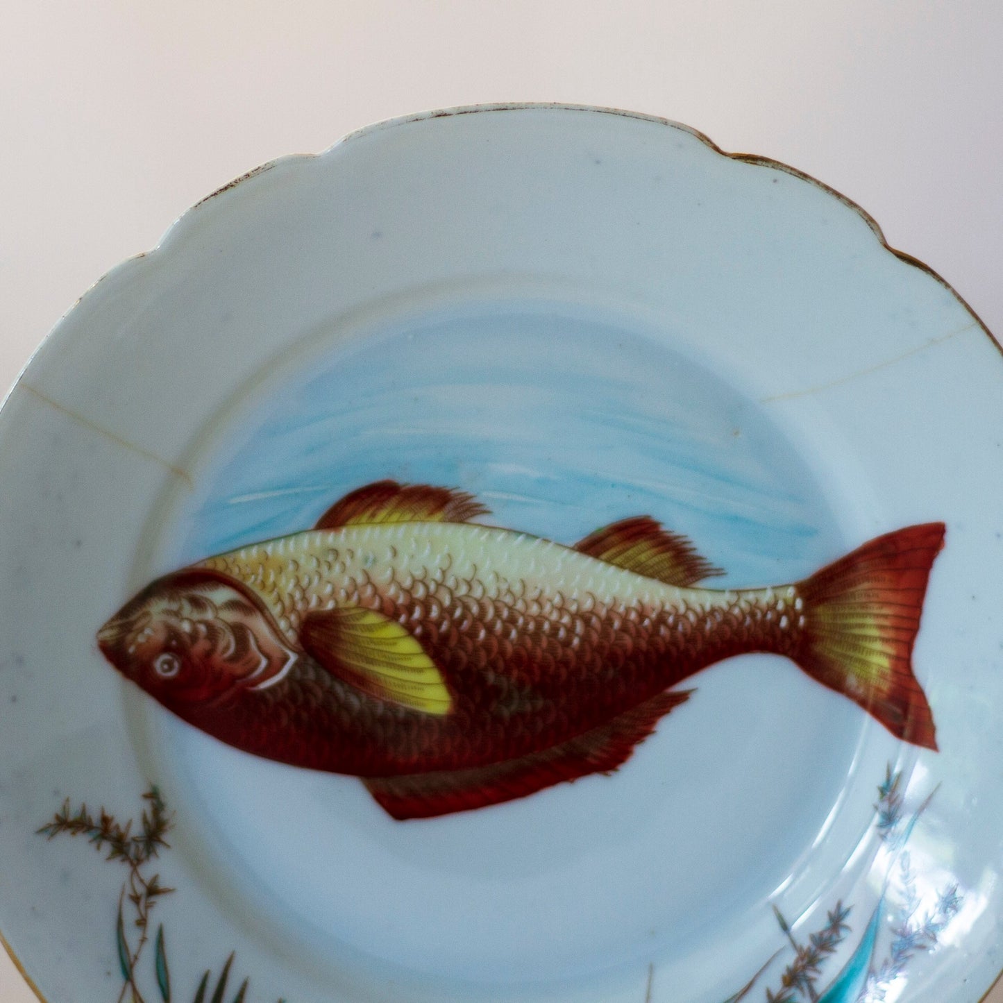 Hinrichs & Company TRANSFERWARE FISH PLATE with Hand Painted Highlights