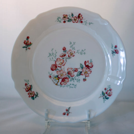 ARCOPAL FRANCE FLORENTINE Dinner Plate & Rimmed Soup Bowl