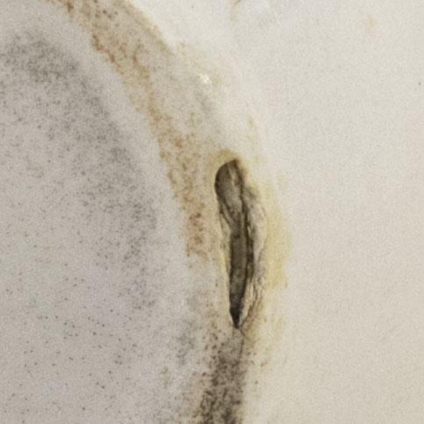 J & G MEAKIN Small Pitcher Circa 1890+ (7)