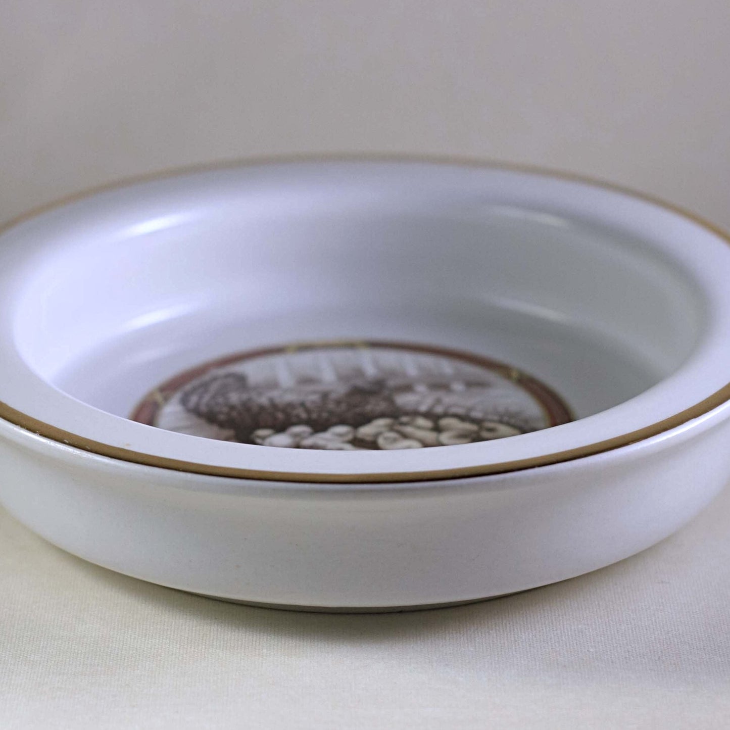 HARKER POTTERY CHILD PORRIDGE BOWL Illustrated with Hen Nesting with Baby Chicks Circa 1895