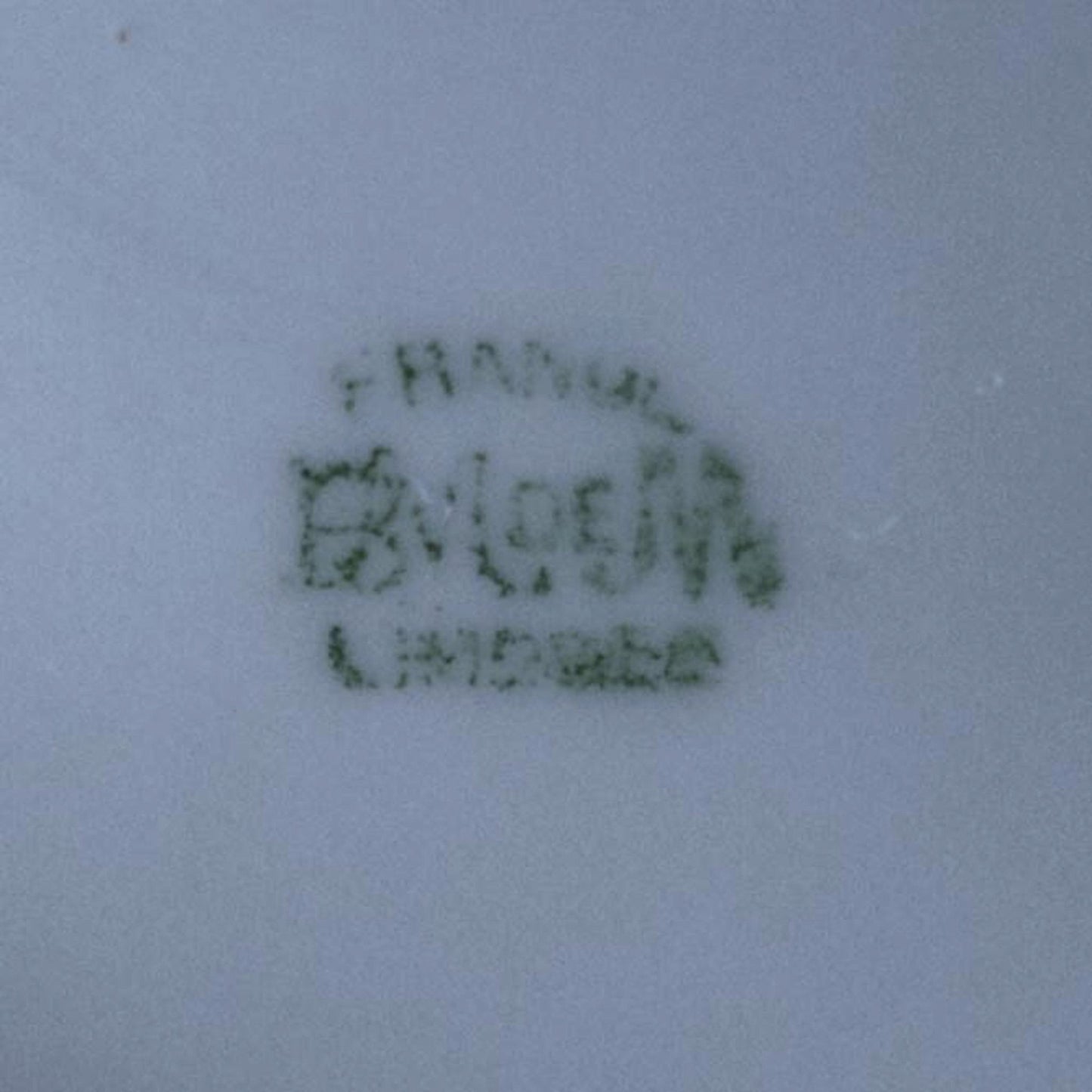 BoeM LIMOGES PORCELAN PLATE Hand Painted Plate with Strawberries Circa 1908 - 1914