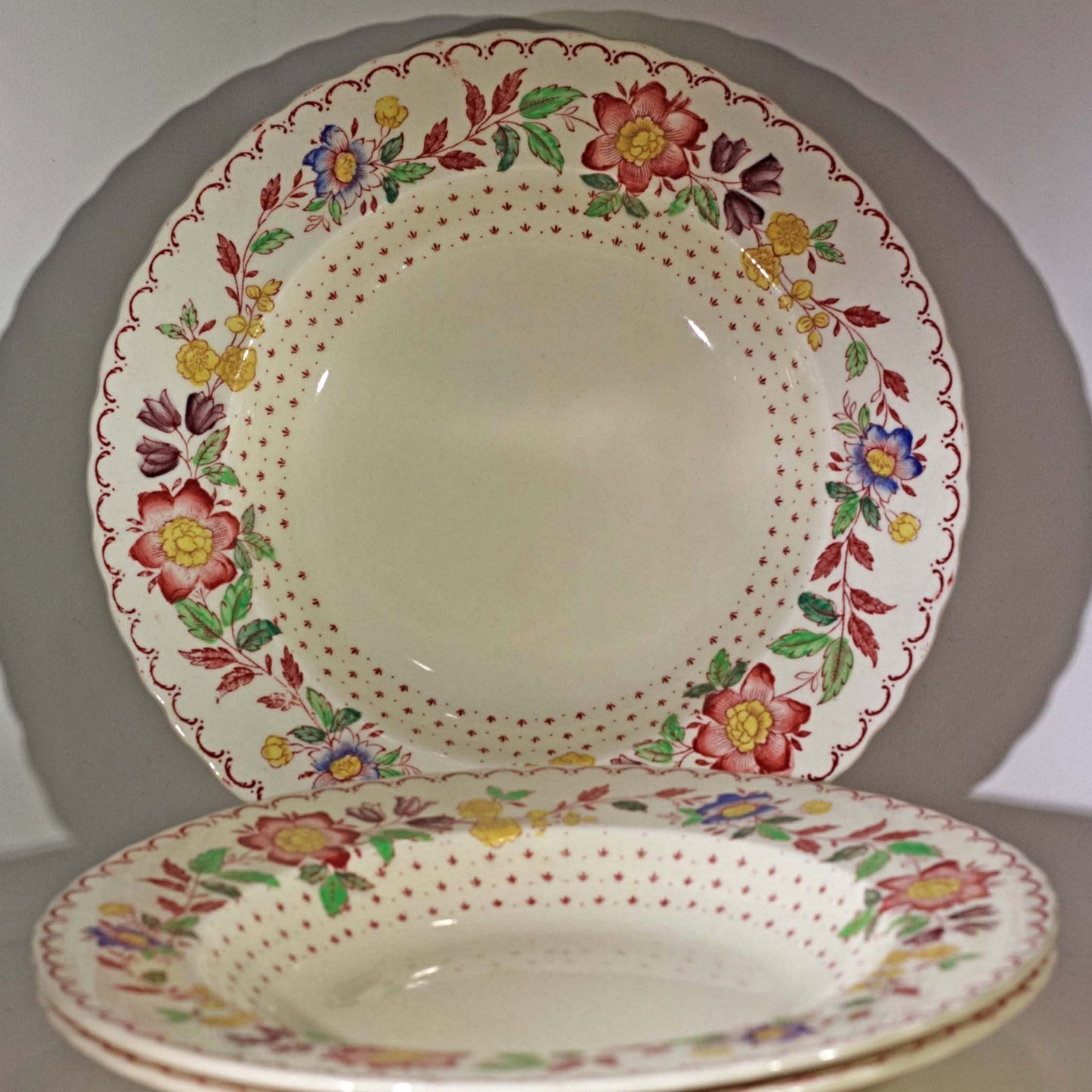 MASON'S PATENT IRONSTONE Rimmed Soup Bowl in Arbor Pattern (2)