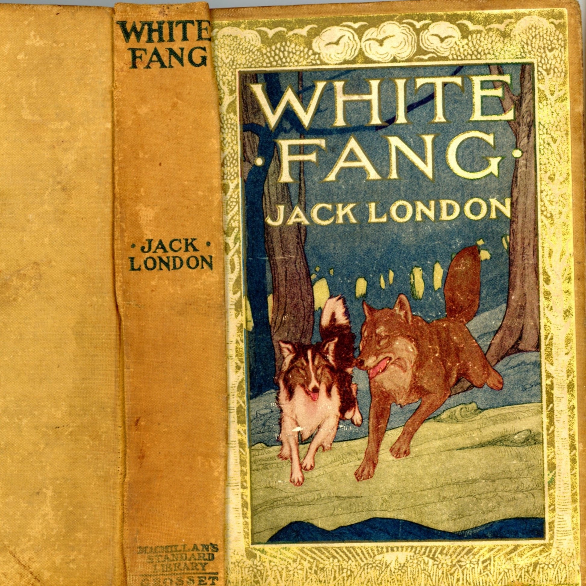 WHITE FANG by Jack London Published by The Macmillan Company 1912 ©1906