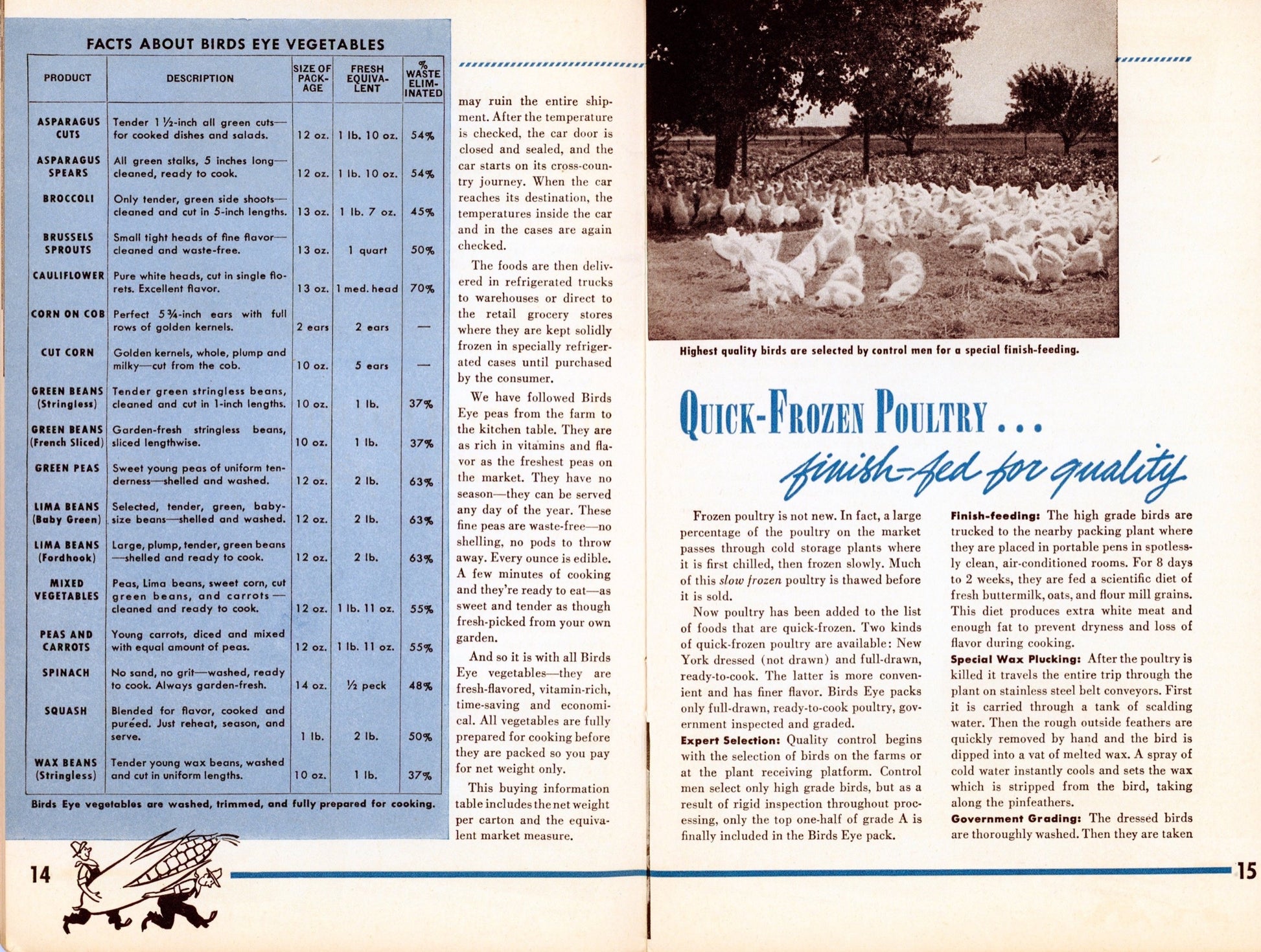 MODERN FOODS FOR MODERN MENUS Vintage Recipe Book Published by Birds Eye Brand Circa 1942