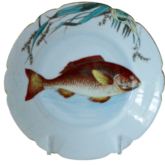 Antique Carlsbad Austria Fish Plate | Transferware c. 1800s