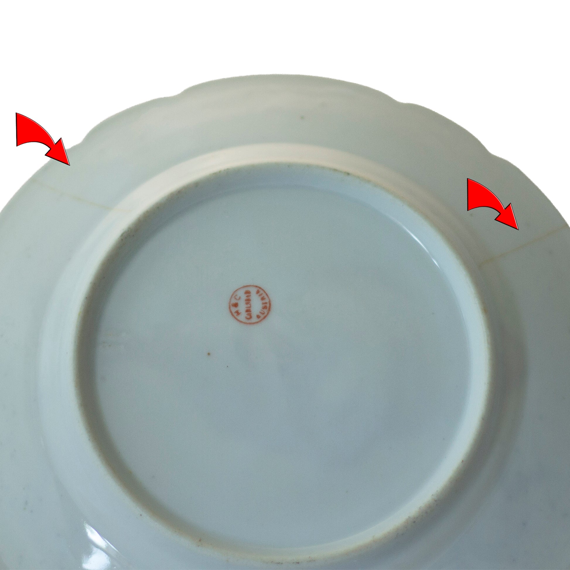 Antique Carlsbad Austria Fish Plate | Transferware c. 1800s