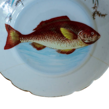 Antique Carlsbad Austria Fish Plate | Transferware c. 1800s