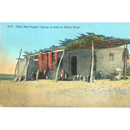 Pre‑linen Curteich postcard No.: 2177, c. 1928–1930. Chili drying at adobe home. C.T. American Art imprint, Stamp box code 82758.