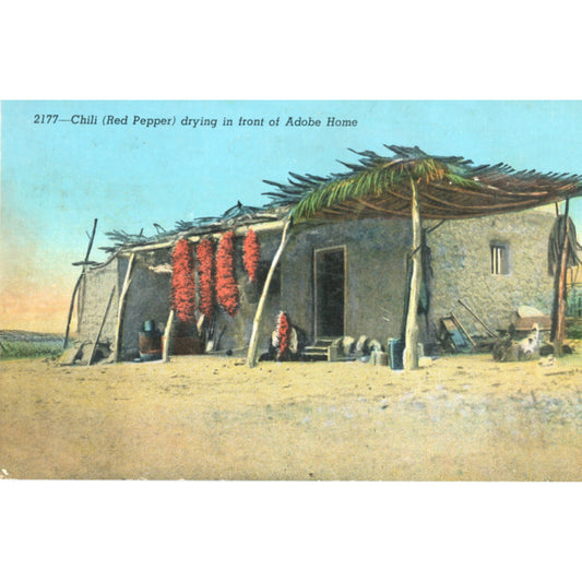 Pre‑linen Curteich postcard No.: 2177, c. 1928–1930. Chili drying at adobe home. C.T. American Art imprint, Stamp box code 82758.