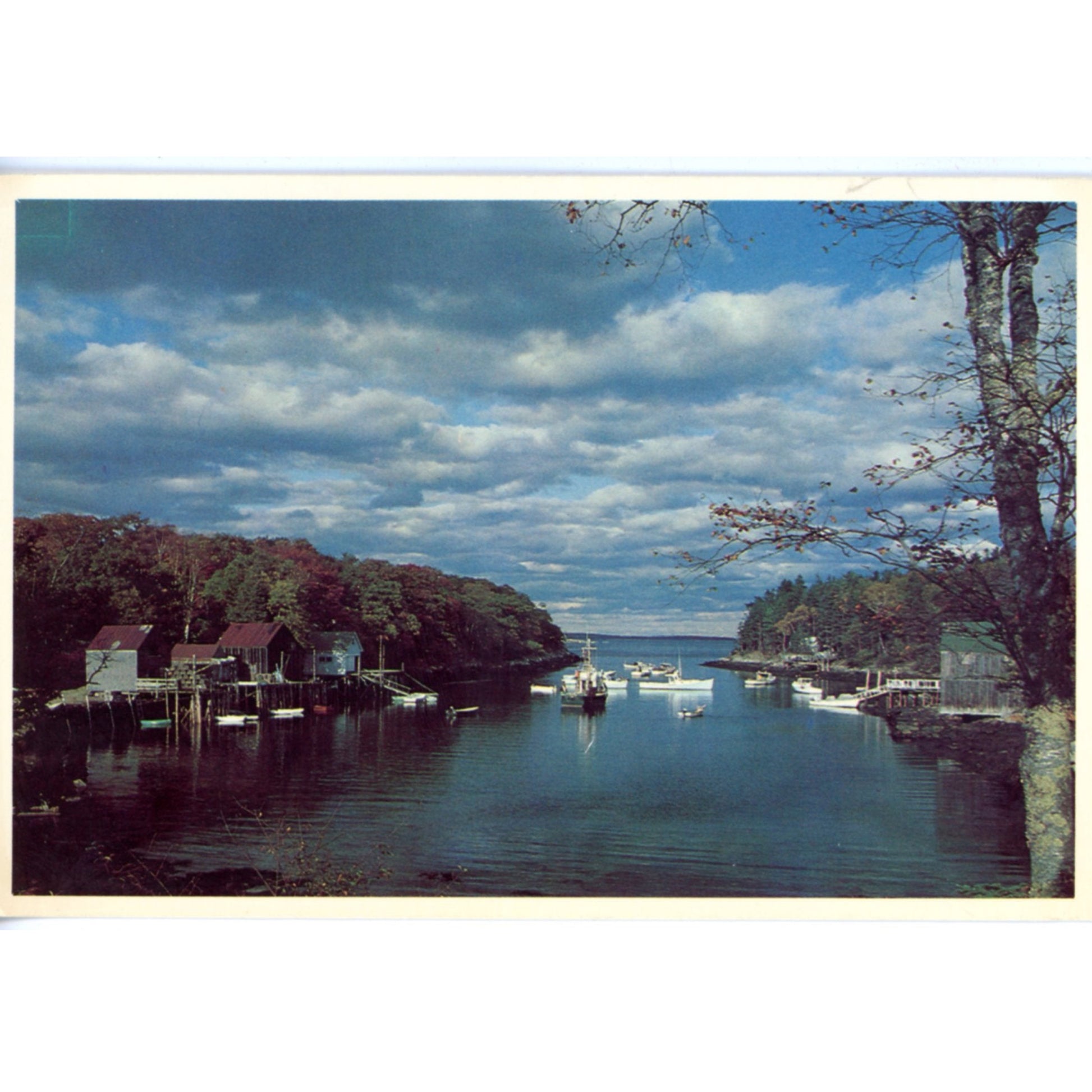 Back Cove NEW HARBOR MAINE Vintage Photo Art Print Chrome 
