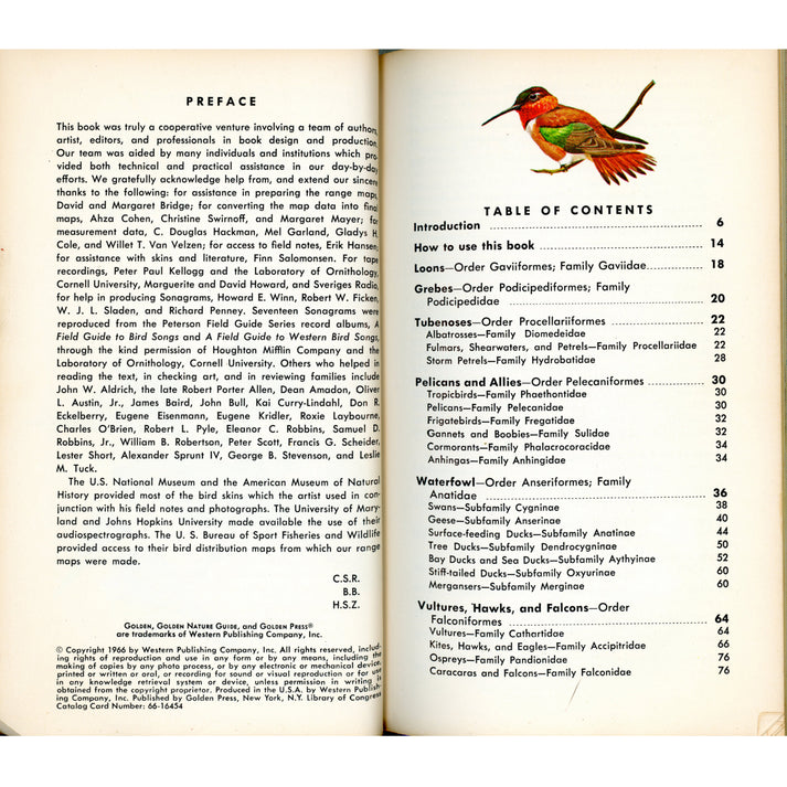 1966 Birds of North America Golden Field Guide Singer – The Townhouse ...
