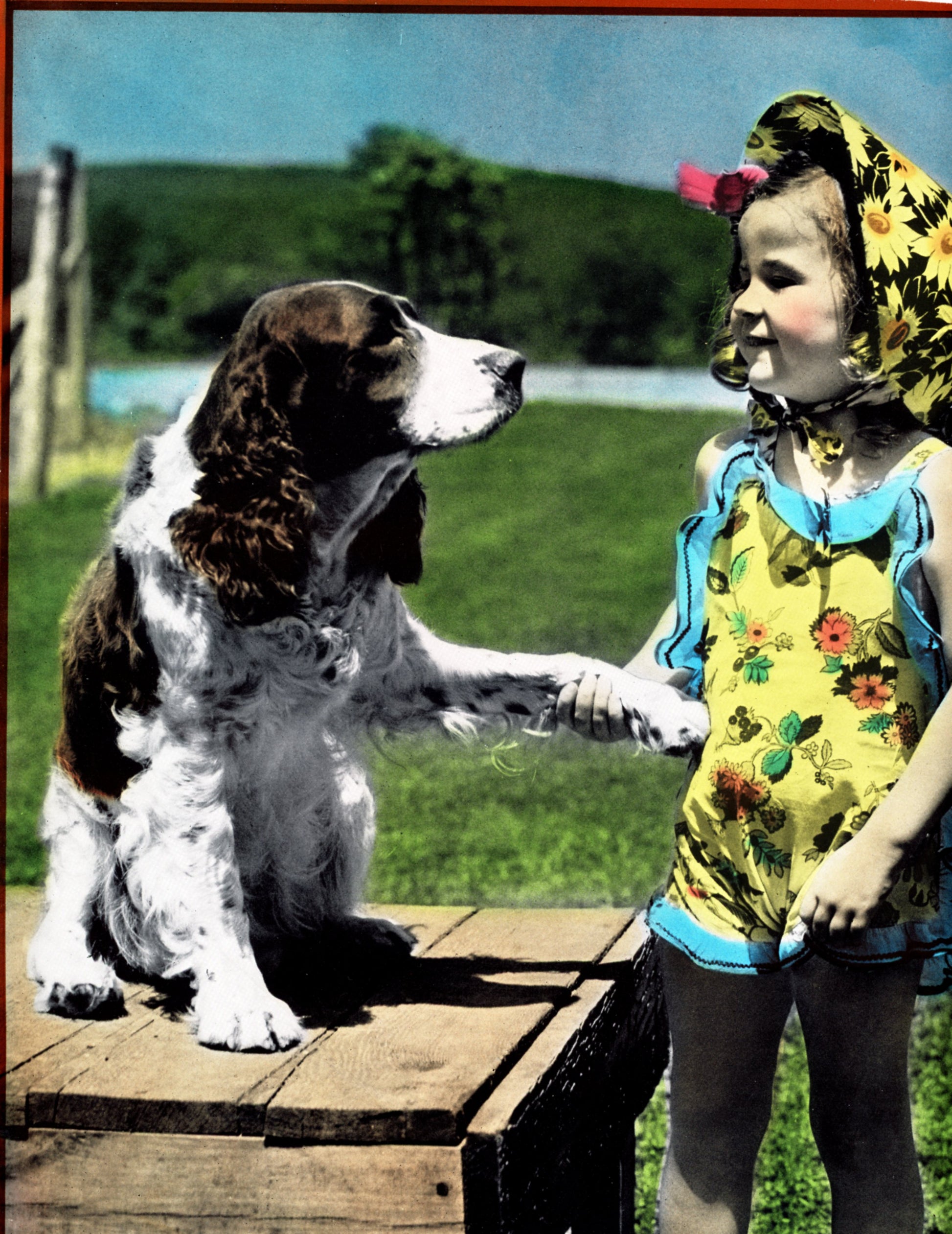 Print Size: 7” x 9” (image area not including border) – Very good condition, bright color, small scratch on proof, near girl's bonnet, no fading, no tears, strong saturation.