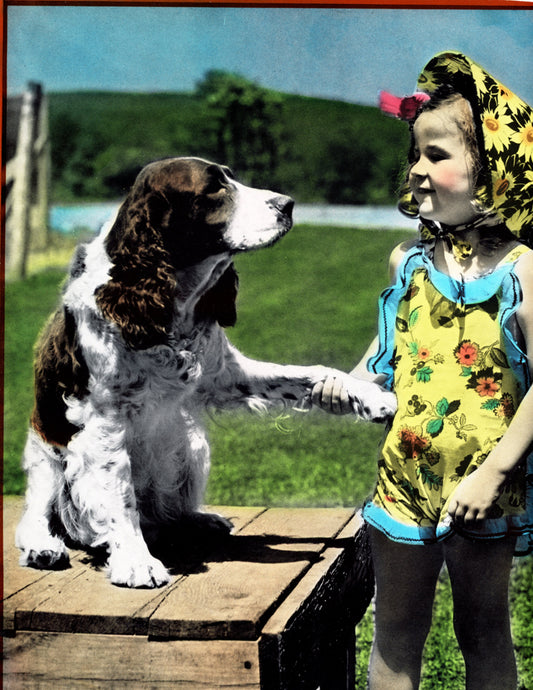 Print Size: 7” x 9” (image area not including border) – Very good condition, bright color, small scratch on proof, near girl's bonnet, no fading, no tears, strong saturation.