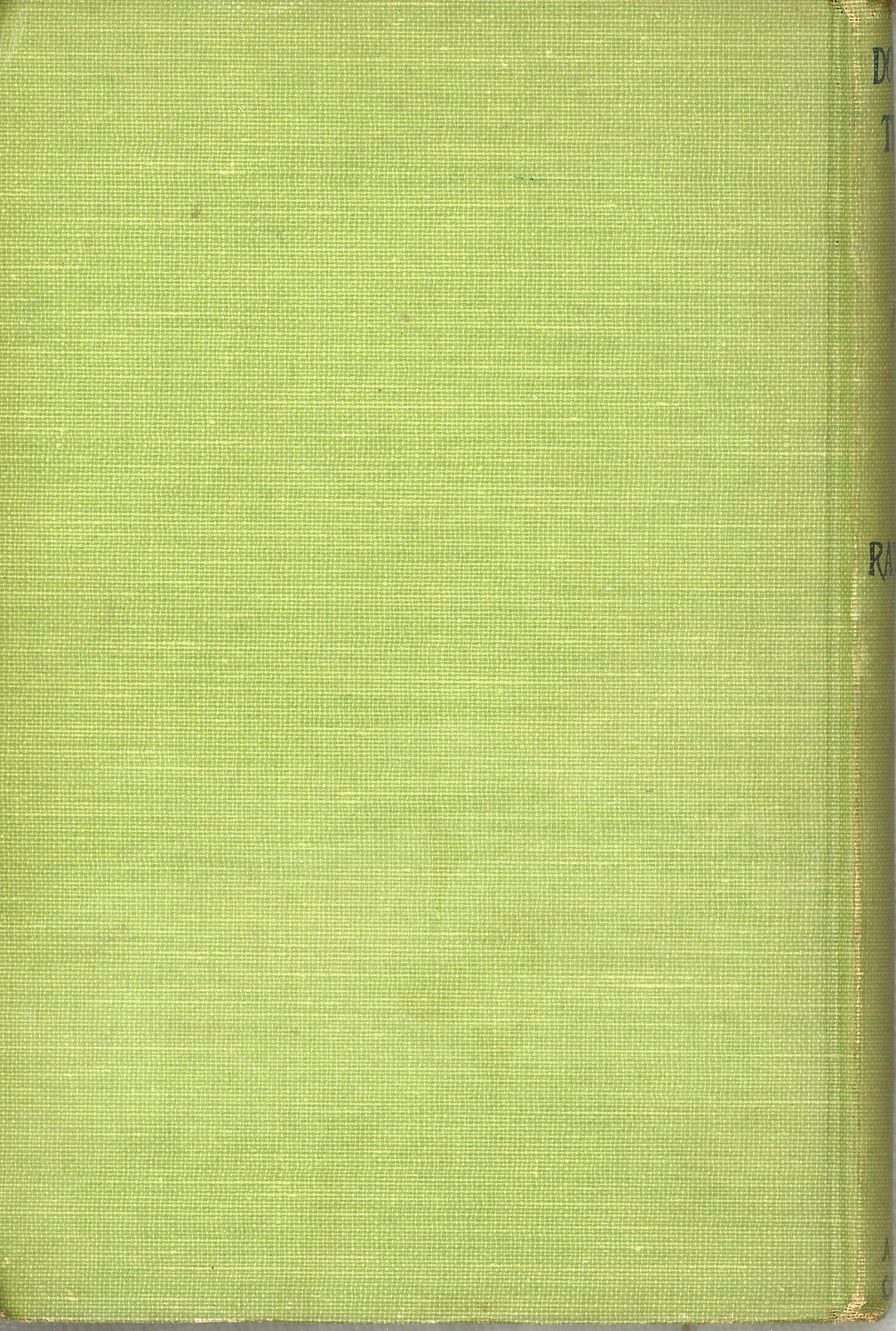 DOROTHY'S TRAVELS by Evelyn Raymond First Edition ©1908 BACK