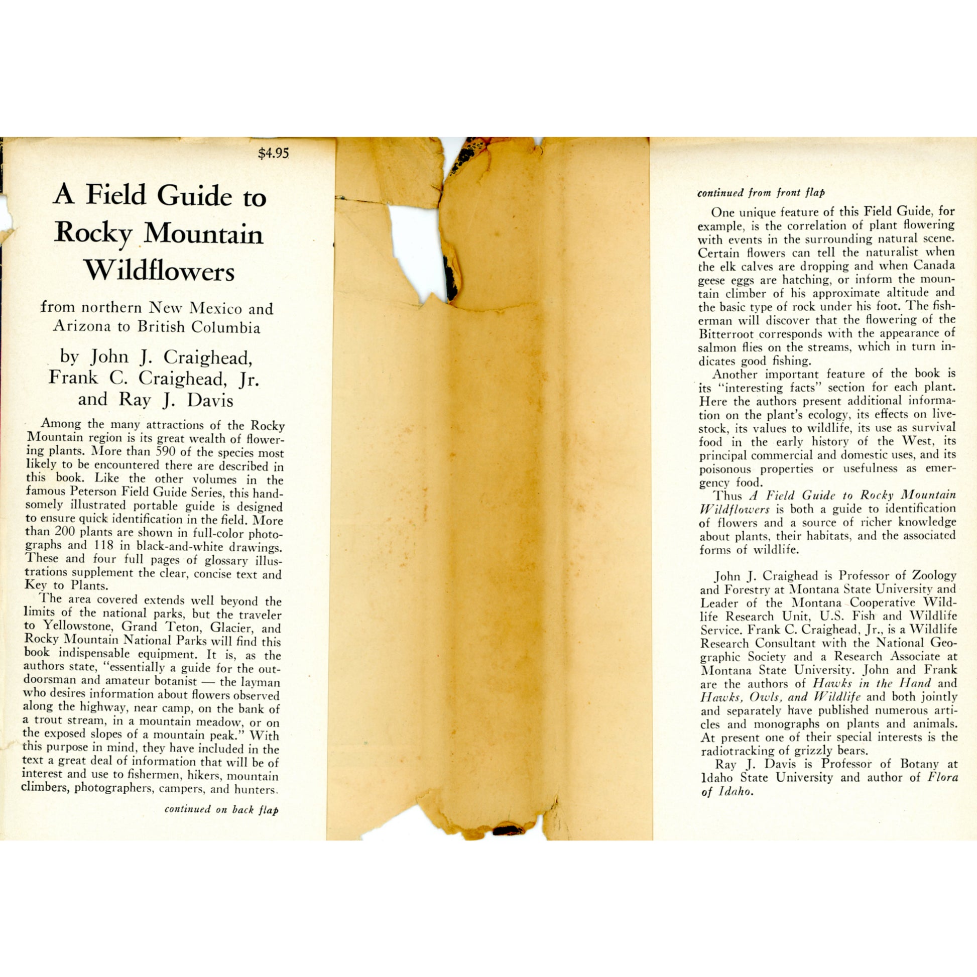 1963 Peterson Field Guide Rocky Mountain Wildflowers Craighead Davis 1st printing (Dust Jacket Flaps)