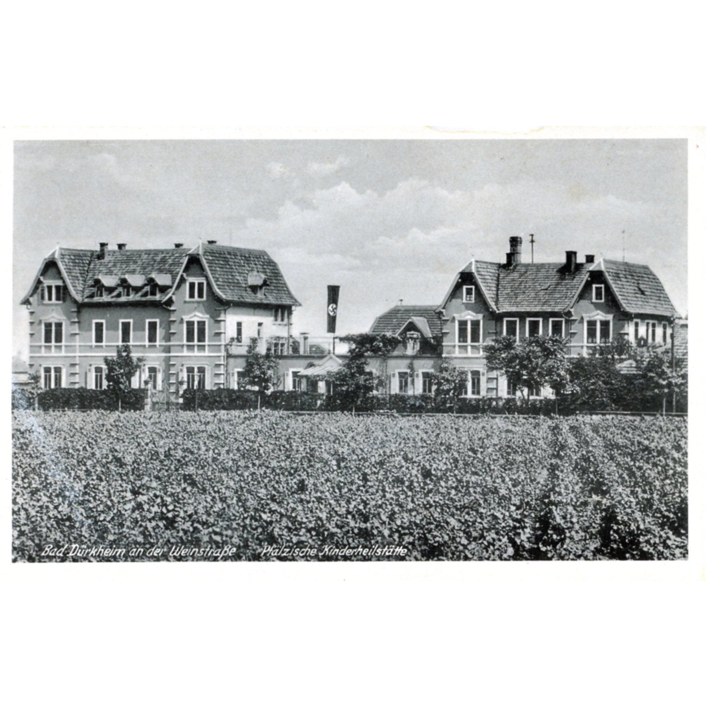 Bad Dürkheim Germany Wine Country | Children's Hospital Postcard | E.H.M. M/1320