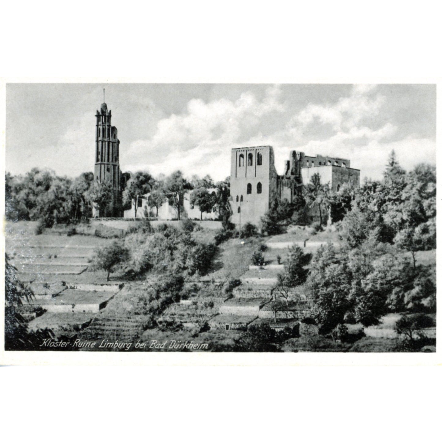 Bad Dürkheim Germany Wine Country | Limberg Abbey Postcard | E.H.M. M/1320 