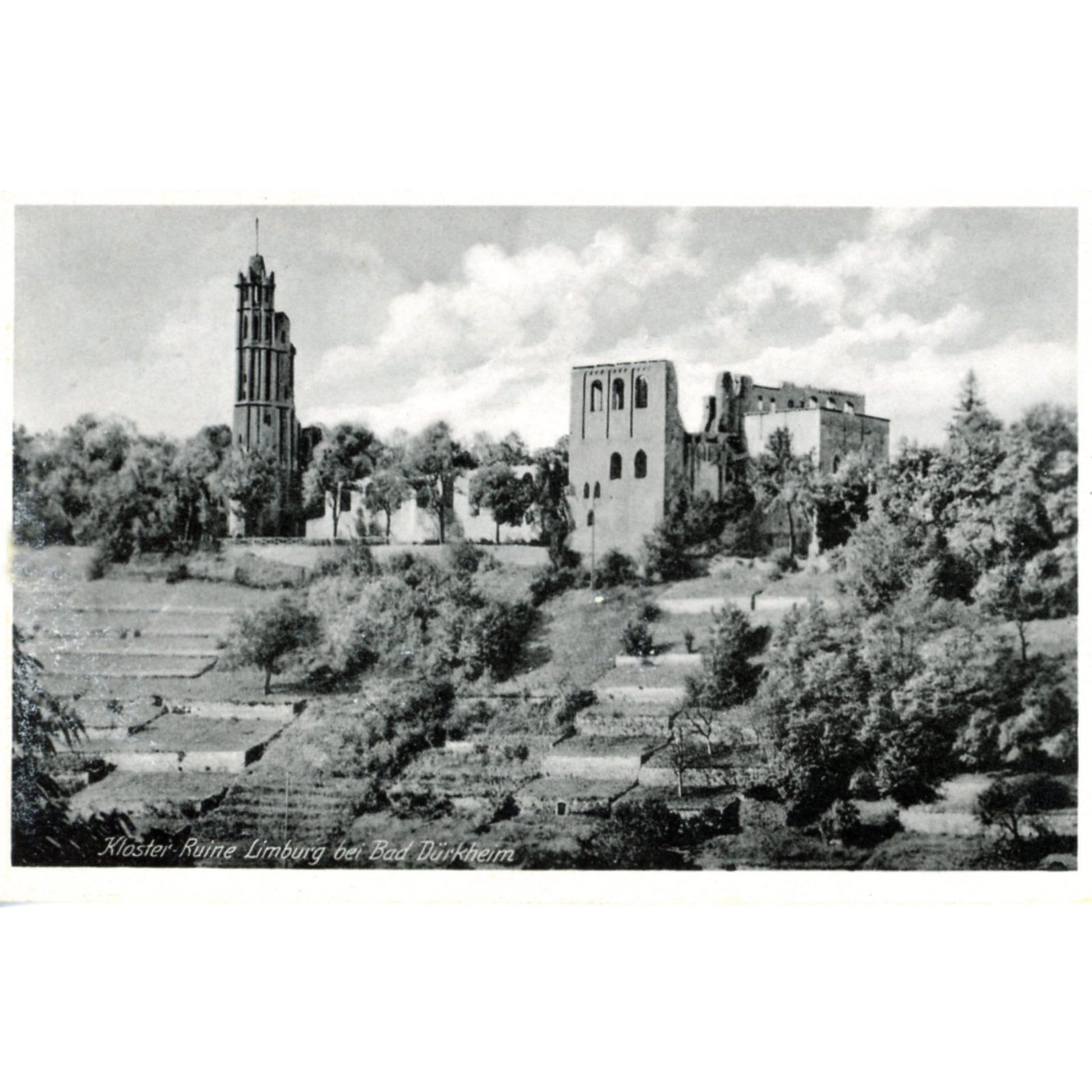 Bad Dürkheim Germany Wine Country | Limberg Abbey Postcard | E.H.M. M/1320 