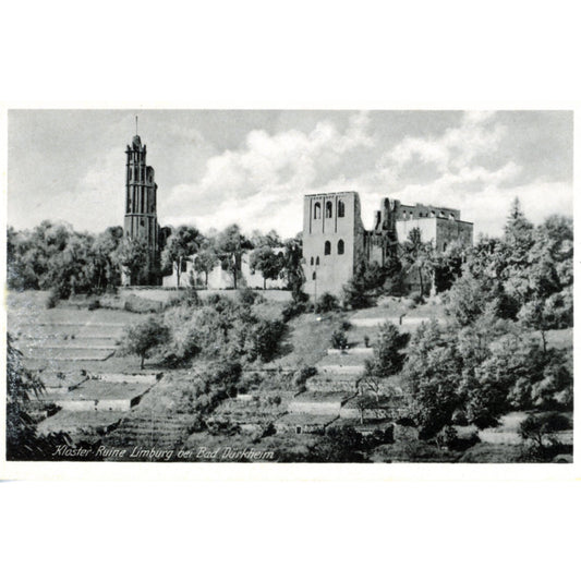 Bad Dürkheim Germany Wine Country | Limberg Abbey Postcard | E.H.M. M/1320 