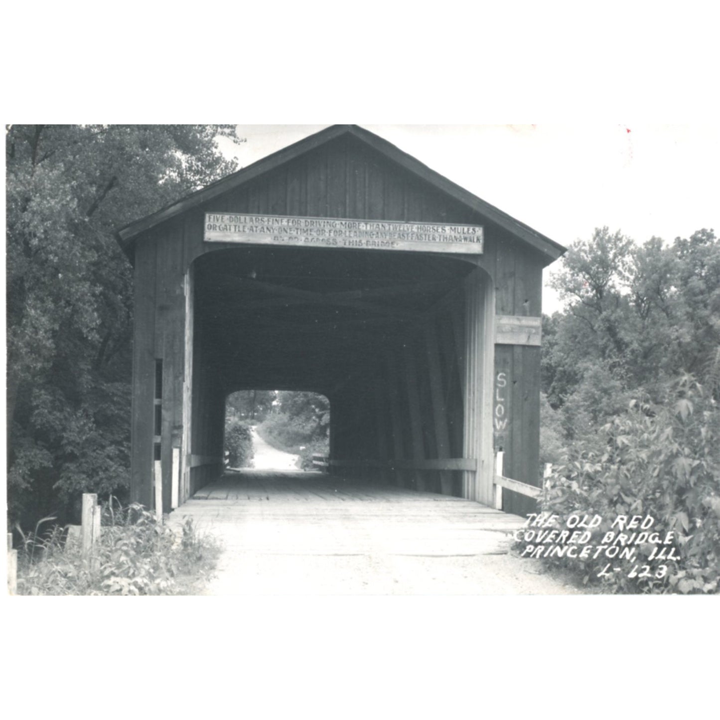 El Viejo Puente Cubierto Rojo PRINCETON, ILLINOIS Tarjeta Postal de Foto Real Vintage