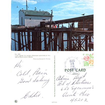 Stonington, Maine Lobster Traps and Seagulls on Waterfront Series | Koppel & Phillips Chrome Era Postcards (Sold Choice)
