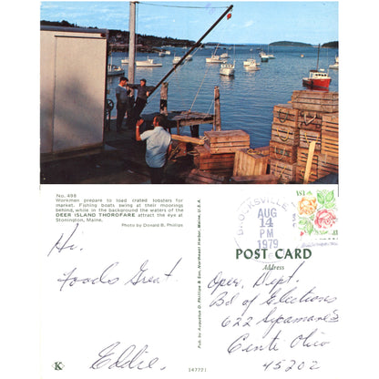 Stonington, Maine Lobster Traps and Seagulls on Waterfront Series | Koppel & Phillips Chrome Era Postcards (Sold Choice)