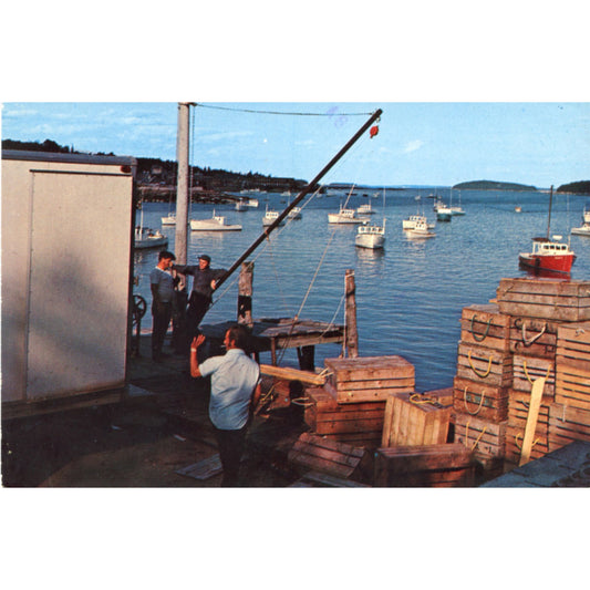 Lobstermen at Deer Island Thorofare STONINGTON MAINE Vintage Postcard ©1970's
