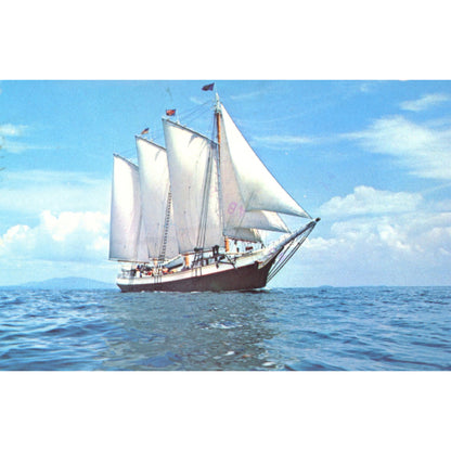 Victory Chimes – Three‑Masted Schooner Maine | Eastern Illustrating Vintage Chrome Postcards[poi (Sold choice)