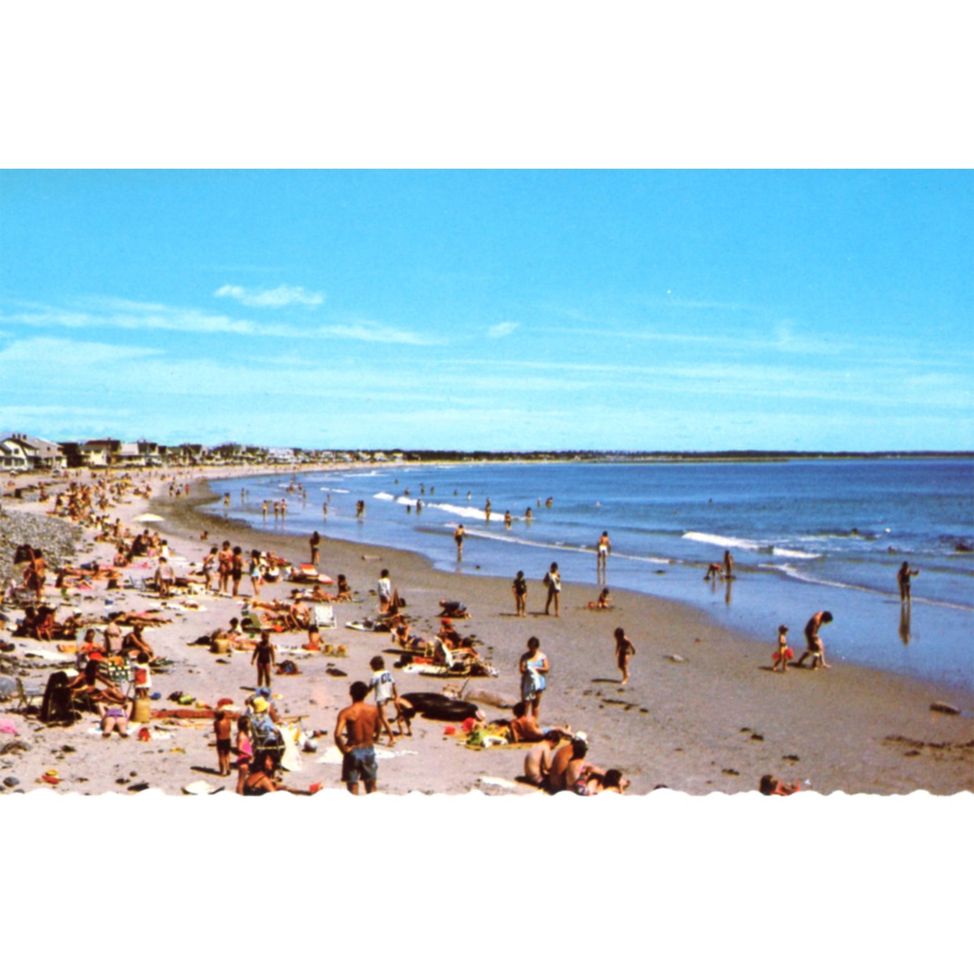 Wells Beach Maine sunbathers, shoreline homes (EIP) chrome postcard Front