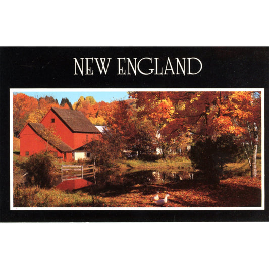 New England Autumn Leaves – Vintage Barn & Foliage Postcard (Chrome Era)  