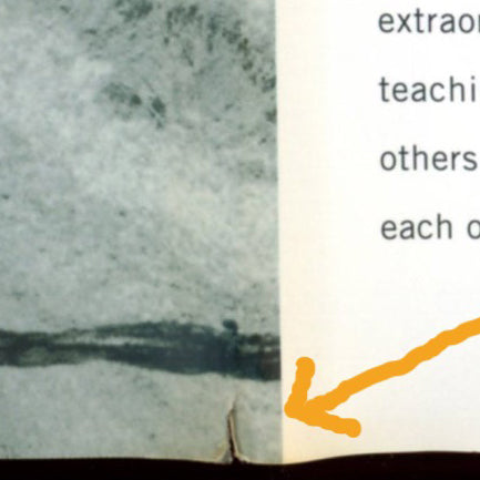 ICY SPARKS Par Gwyn Hyman Rubio ©1998 Première édition Signé et daté par l'auteur