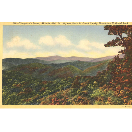 Clingmans Dome Le plus haut sommet des Great Smoky Mountains GATLINBURG TENNESSEE Carte Postale Vintage 1939