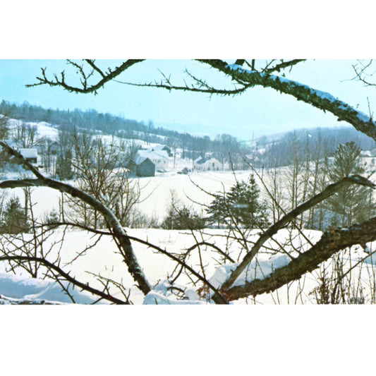 Historic Brookfield Vermont Panoramic Winter View| Forward's Color Vintage Chrome Postcard Front