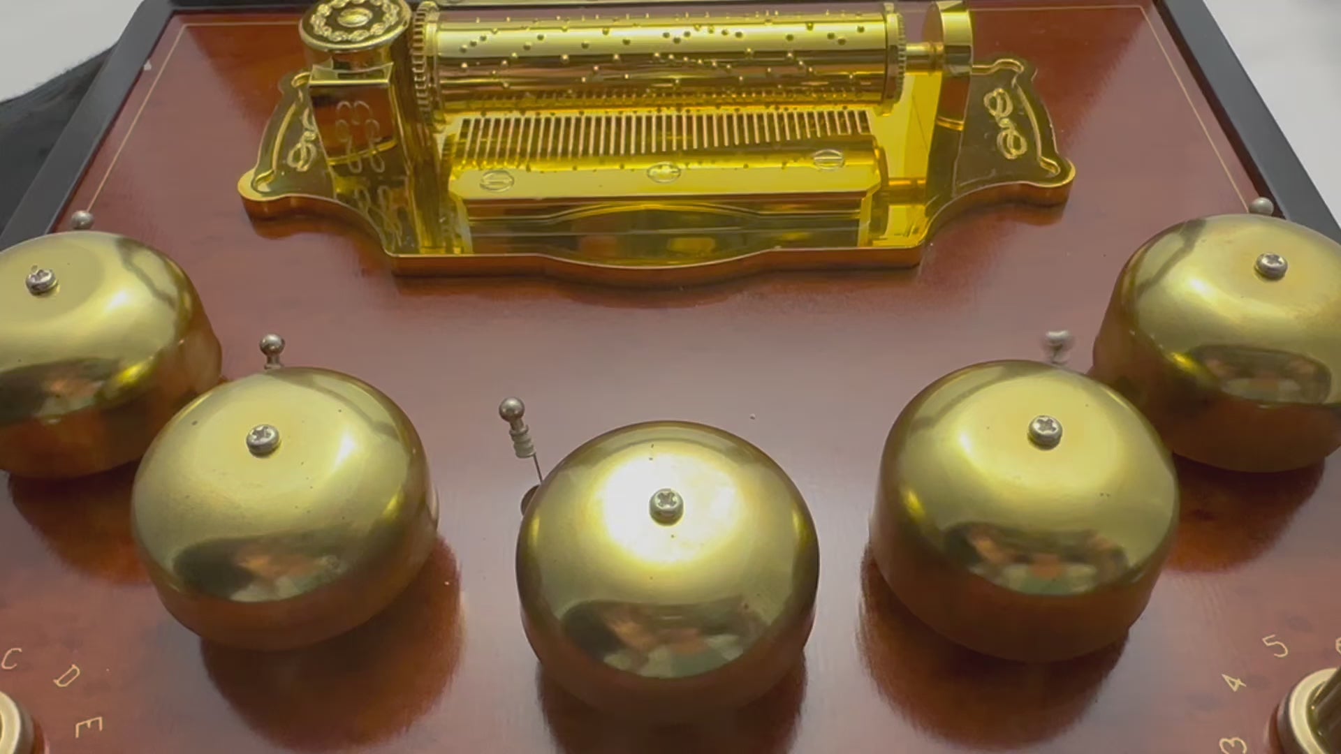 Gold Label Animated Concertina Music Box by MR. CHRISTMAS – The