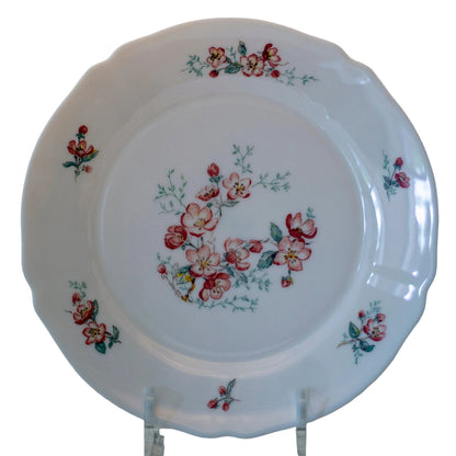 Arcopal Florentine Dinner Plate – Pink Floral, Scalloped Edge, France, 10½″