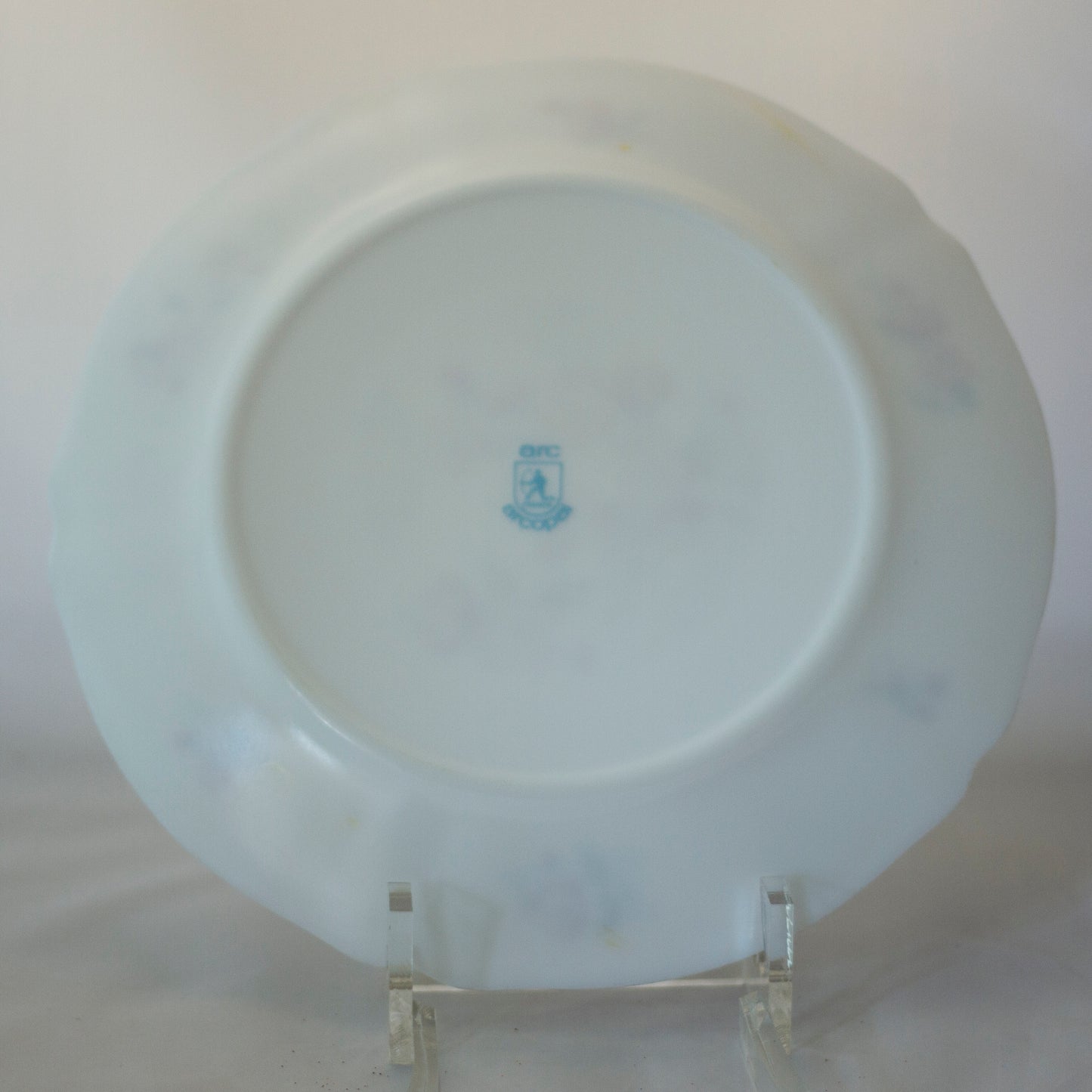 ARCOPAL FRANCE FLORENTINE Dinner Plate & Rimmed Soup Bowl