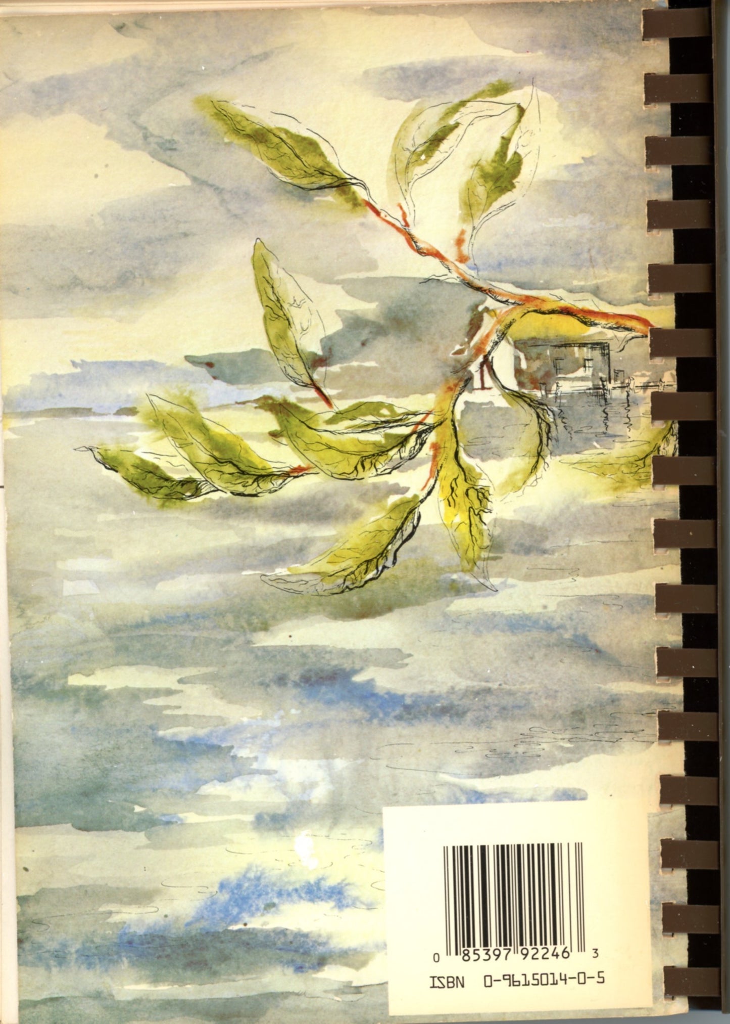 BAY LEAVES: A Collection of Recipes | Junior League of Panama City 1993 ©1975