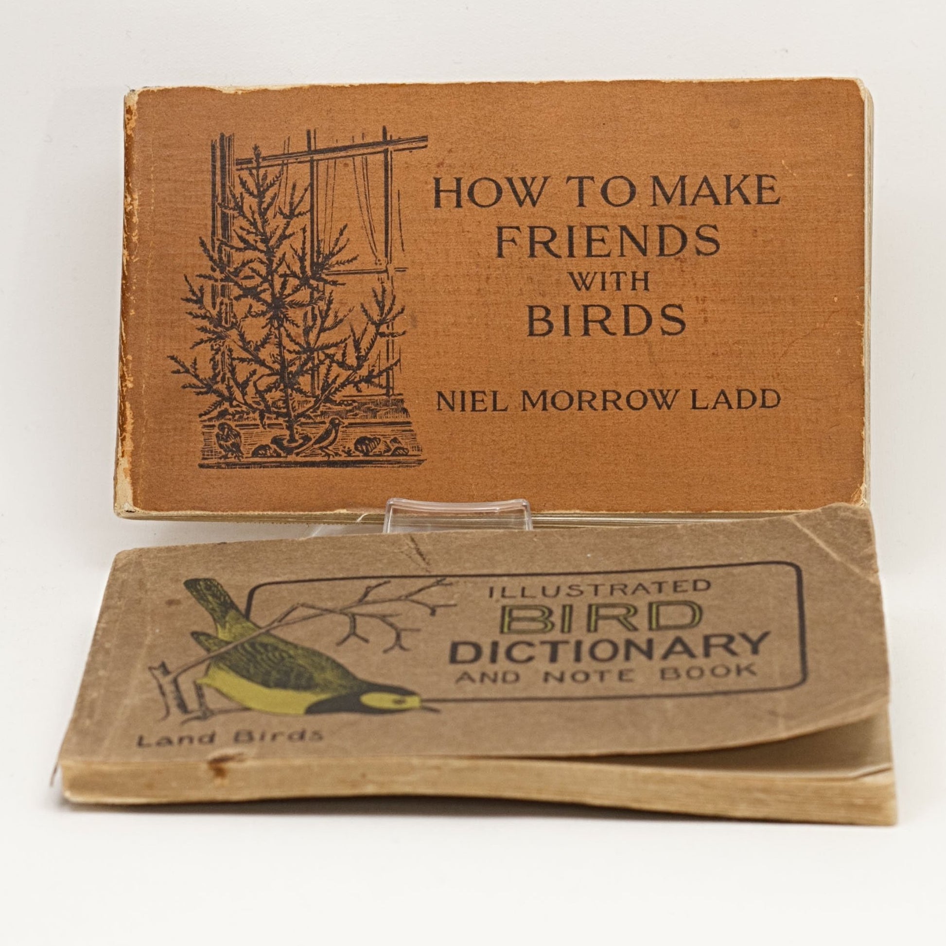 ANTIQUE BIRD BOOKS Illustrated Bird Dictionary by Chester Reed and How to Make Friends With Birds by Niel Morrow Ladd