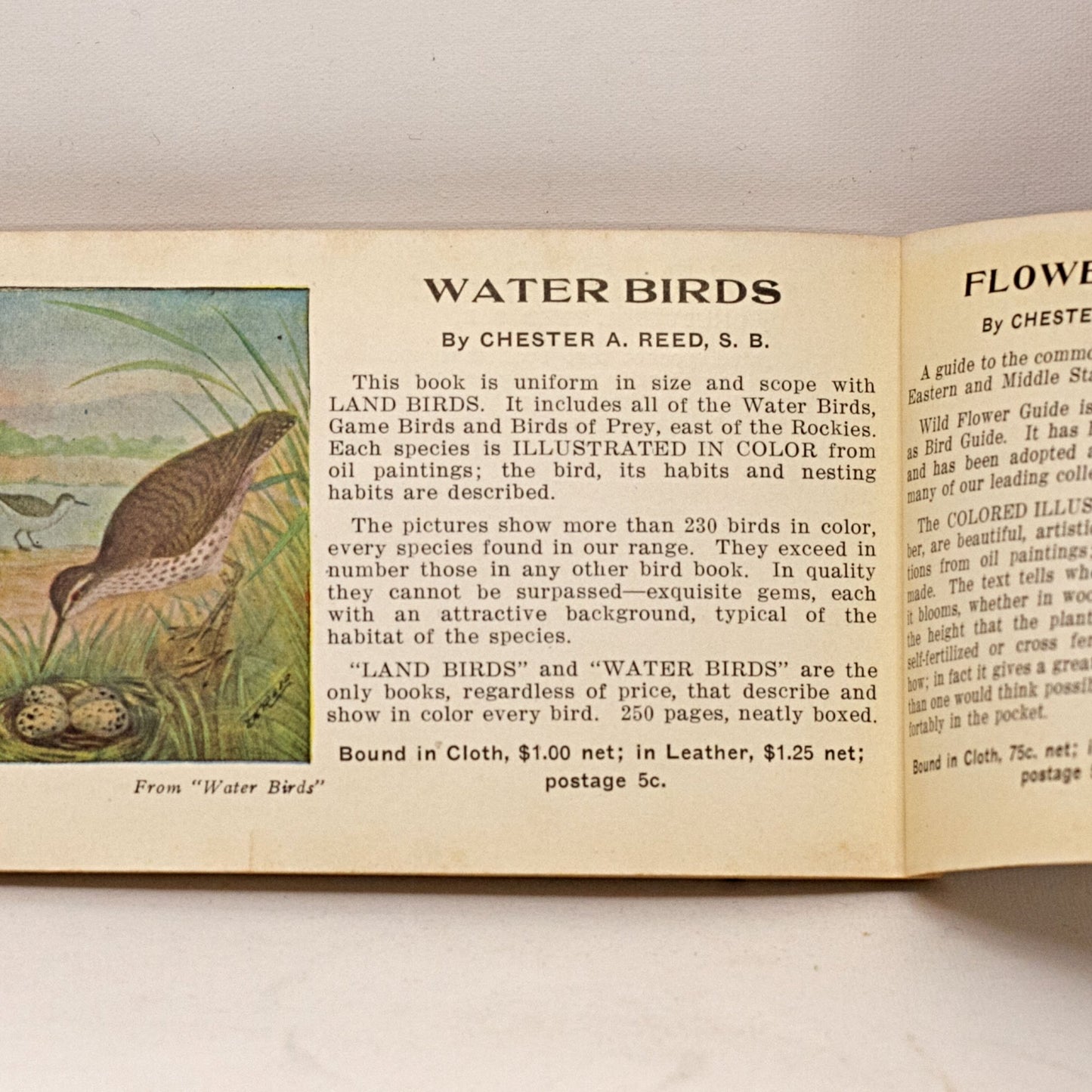 ANTIQUE BIRD BOOKS Illustrated Bird Dictionary by Chester Reed and How to Make Friends With Birds by Niel Morrow Ladd