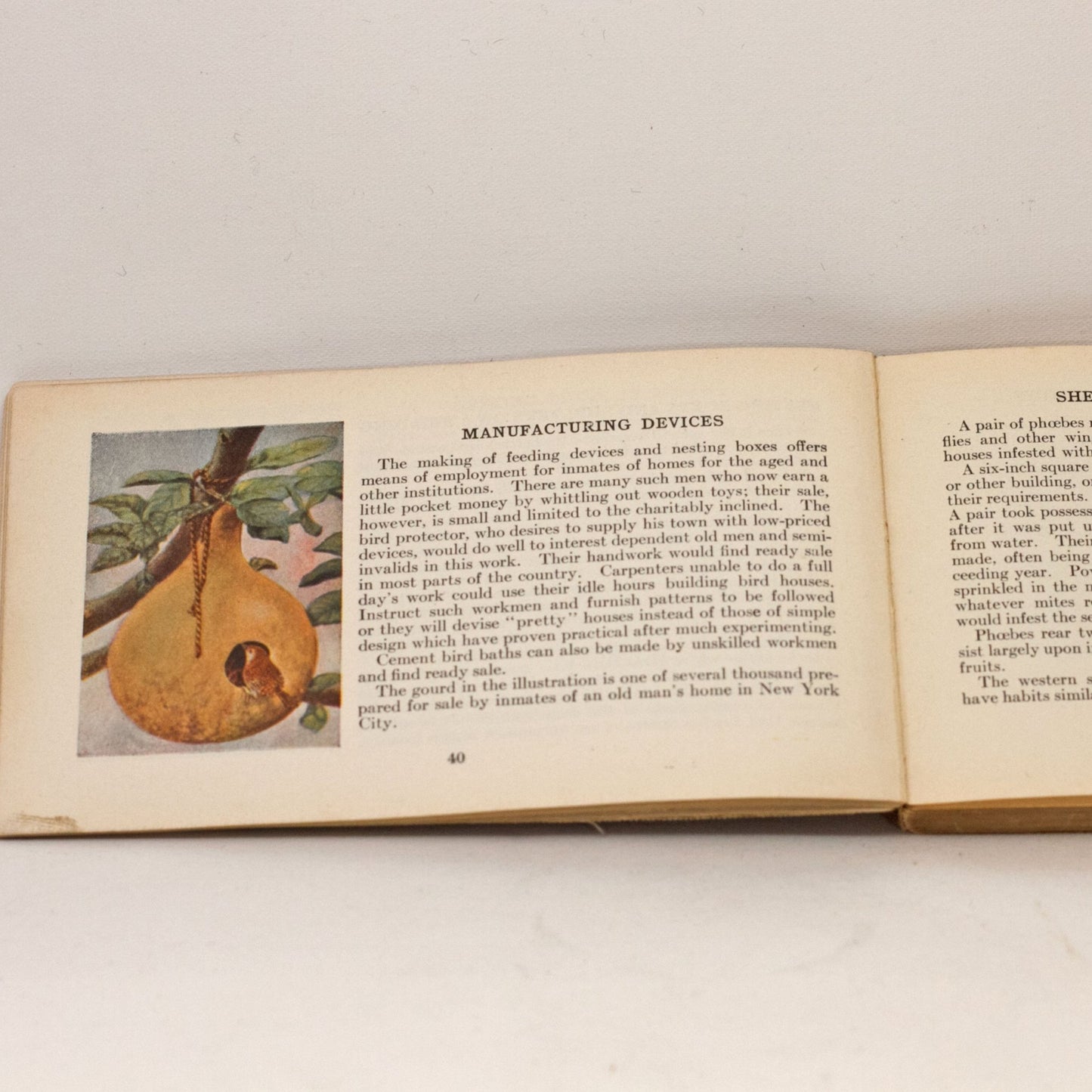 ANTIQUE BIRD BOOKS Illustrated Bird Dictionary by Chester Reed and How to Make Friends With Birds by Niel Morrow Ladd