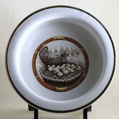 HARKER POTTERY CHILD PORRIDGE BOWL Illustrated with Hen Nesting with Baby Chicks Circa 1895
