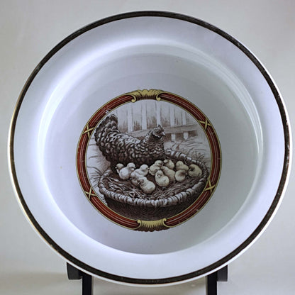 HARKER POTTERY CHILD PORRIDGE BOWL Illustrated with Hen Nesting with Baby Chicks Circa 1895