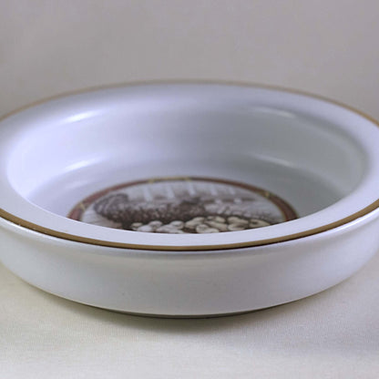 HARKER POTTERY CHILD PORRIDGE BOWL Illustrated with Hen Nesting with Baby Chicks Circa 1895