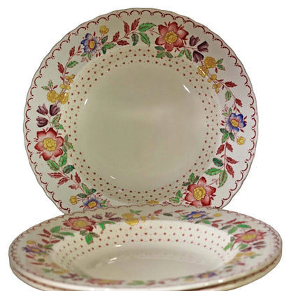 MASON'S PATENT IRONSTONE Rimmed Soup Bowl in Arbor Pattern (2)