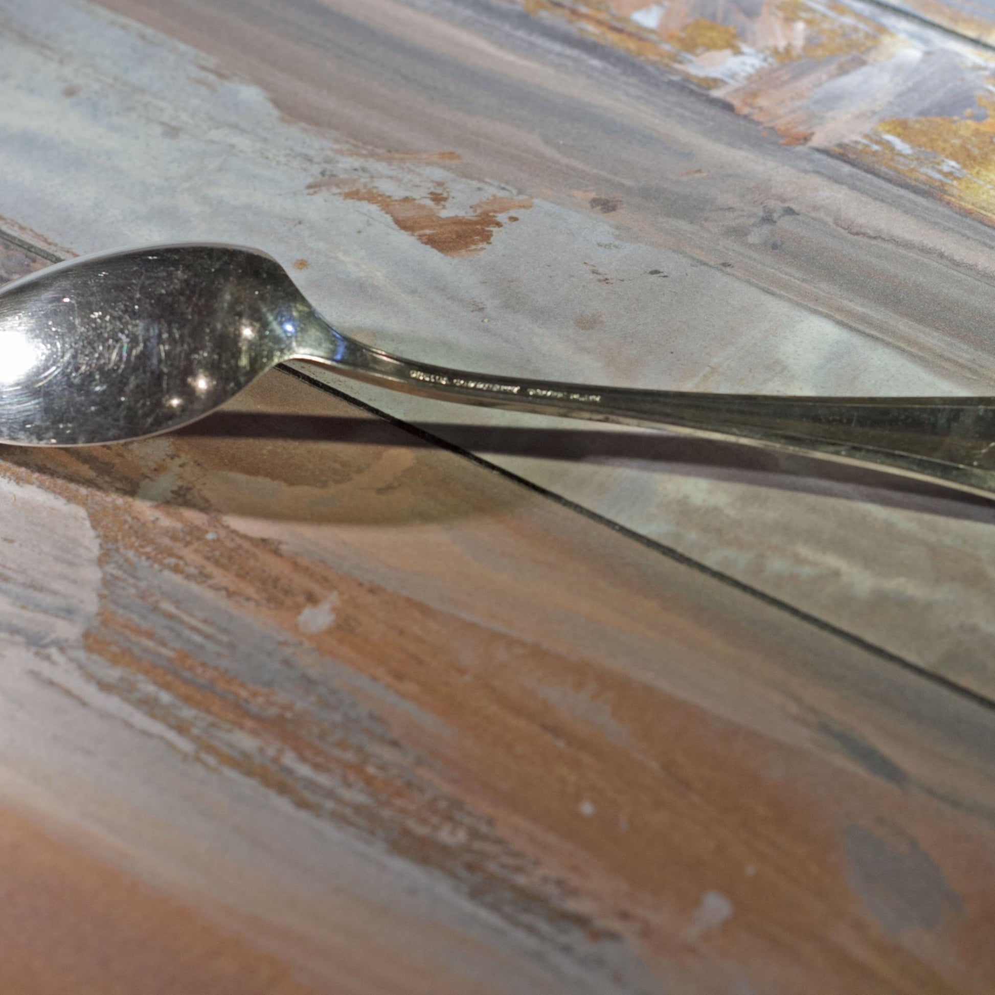 CHATAUQUA SILVER PLATE SERVING SPOON by Oneida Silver